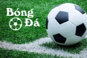 Bóng Trong Cuộc Và Bóng Ngoài Cuộc Trong Bóng Đá