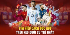 Bí Kíp Chinh Phục Kèo Trên Kèo Dưới Tại 1Gom Cực Hiệu Quả