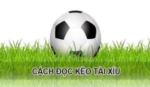 Chiến Thuật Chơi Kèo Tài Xỉu Hiệp 1 Tại 1Gom Thắng Lớn
