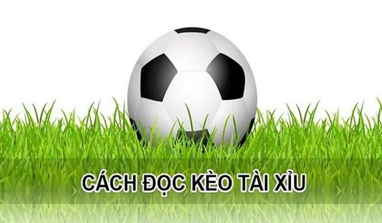 Chiến Thuật Chơi Kèo Tài Xỉu Hiệp 1 Tại 1Gom Thắng Lớn