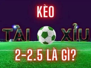 Bật Mí Cách Chơi Kèo 2.25 Tại 1Gom Dễ Trúng Dễ Hiểu Dễ Vào Tiền Ngay