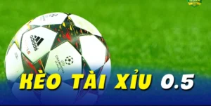 Bật Mí Cách Chơi Kèo Tài Xỉu Tại 1Gom Ăn Tiền Thưởng Cực Khủng