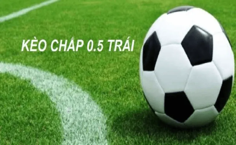 Bí Kíp Cách Chơi Kèo Chấp 0.5 Trong Bóng Đá Tại 1Gom Thắng Đậm