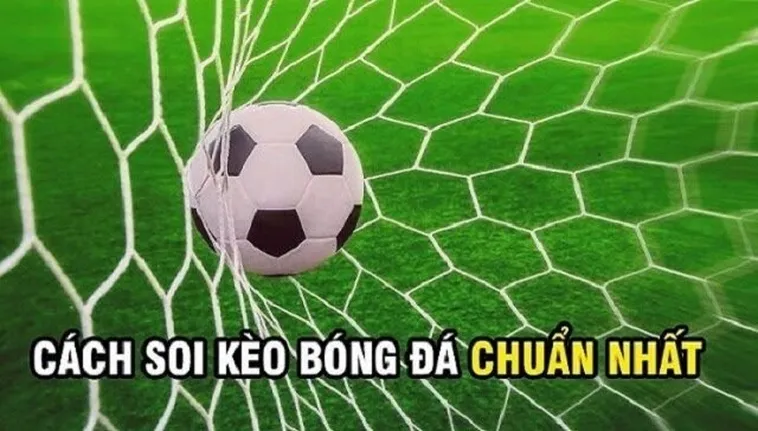 Tuyệt Chiêu Cách Chơi Kèo Rung Trong Bóng Đá Tại 1Gom Bách Phát Bách Trúng